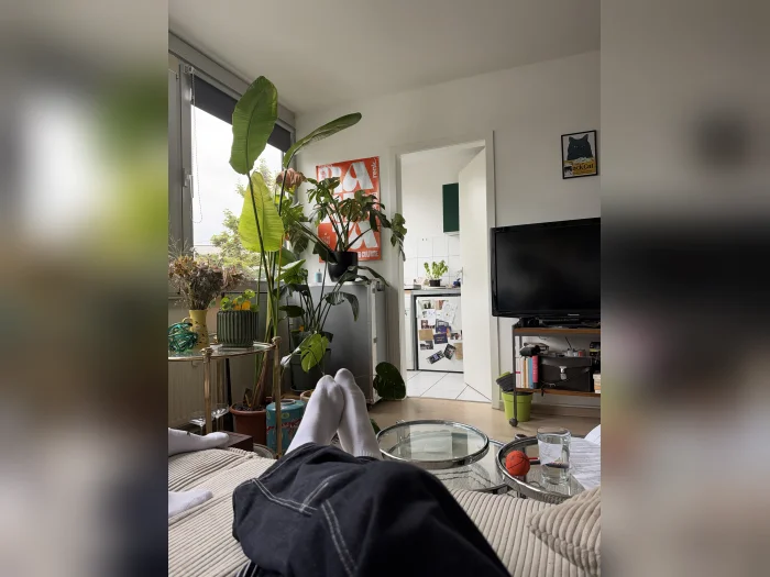 Vorschaubild 2