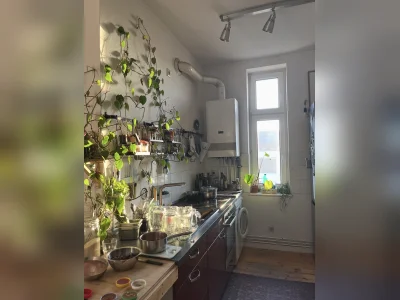 Vorschaubild 2