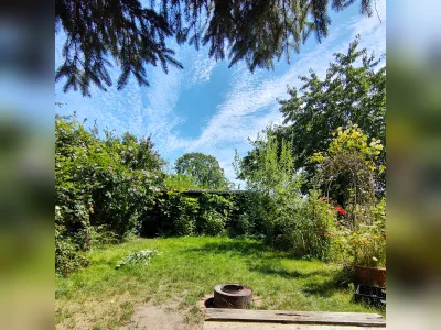 Vorschaubild 1