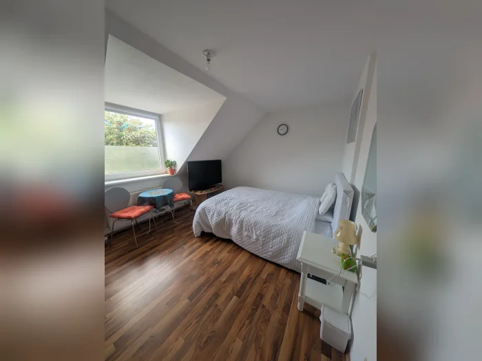 Vorschaubild 1