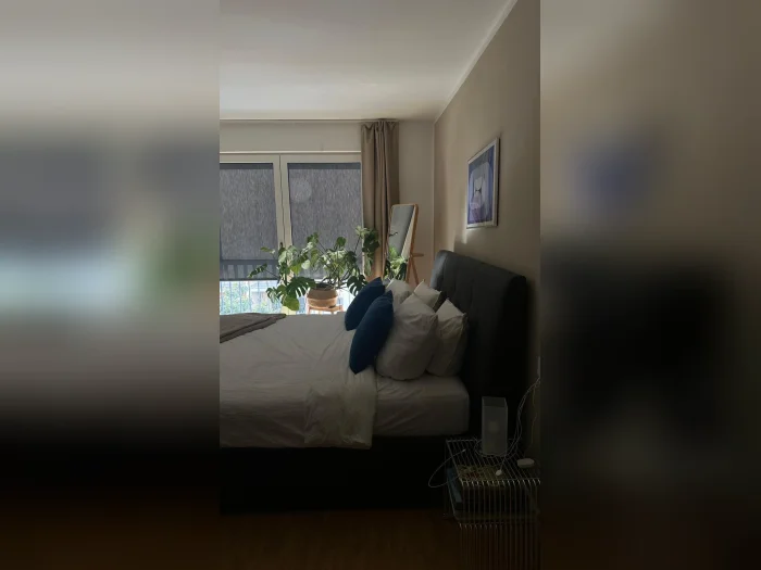 Vorschaubild 2