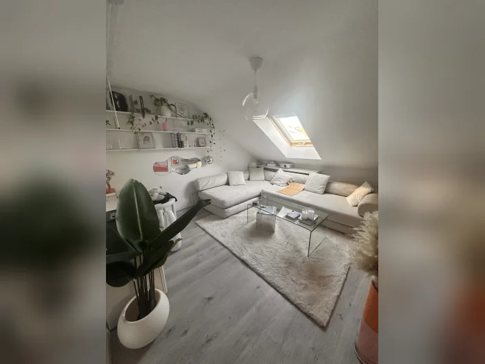 Vorschaubild 1