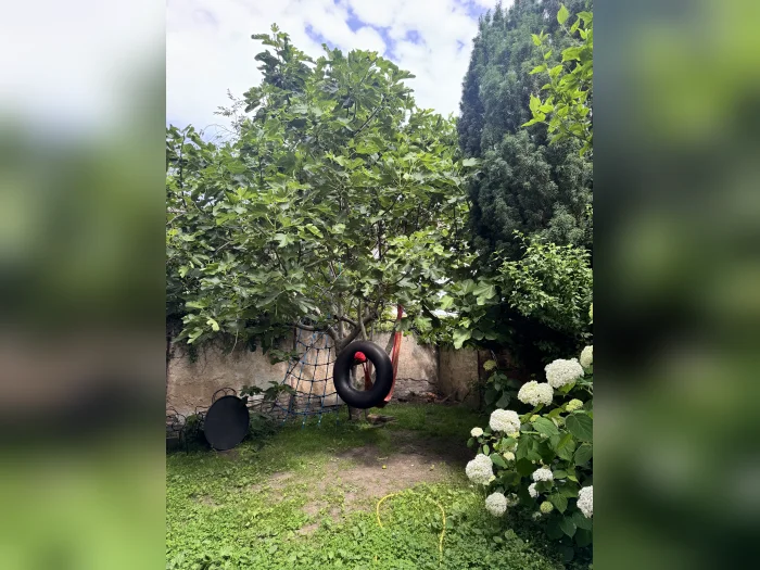 Vorschaubild 2