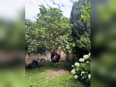 Vorschaubild 2