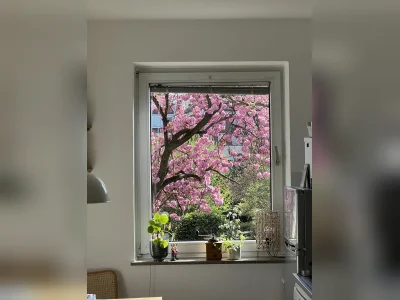 Vorschaubild 1