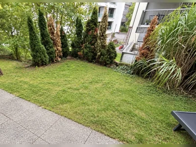 Vorschaubild 3