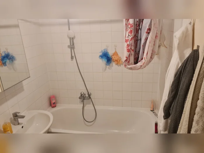 Vorschaubild 2