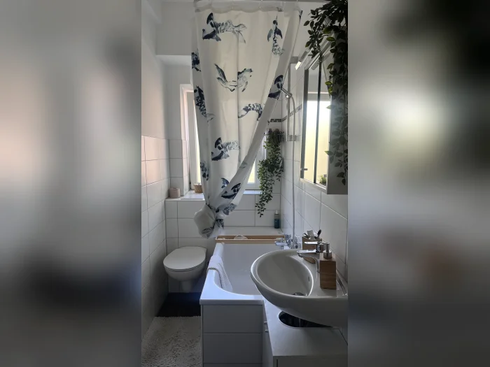 Vorschaubild 1
