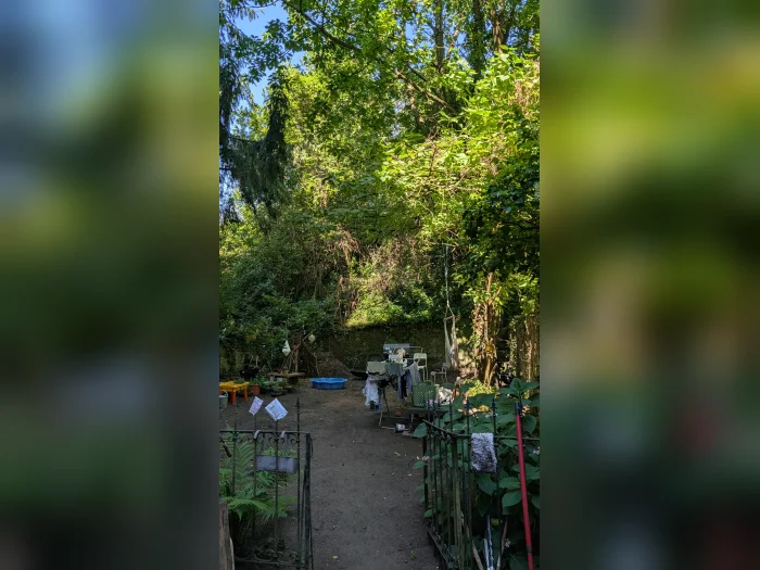 Vorschaubild 2