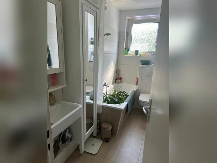 Vorschaubild 2