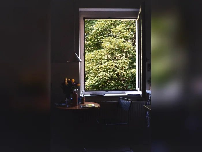 Vorschaubild 2
