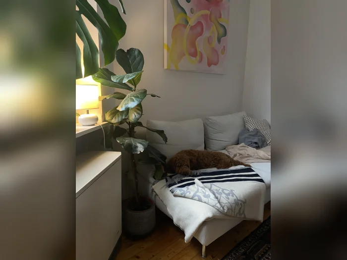 Vorschaubild 3