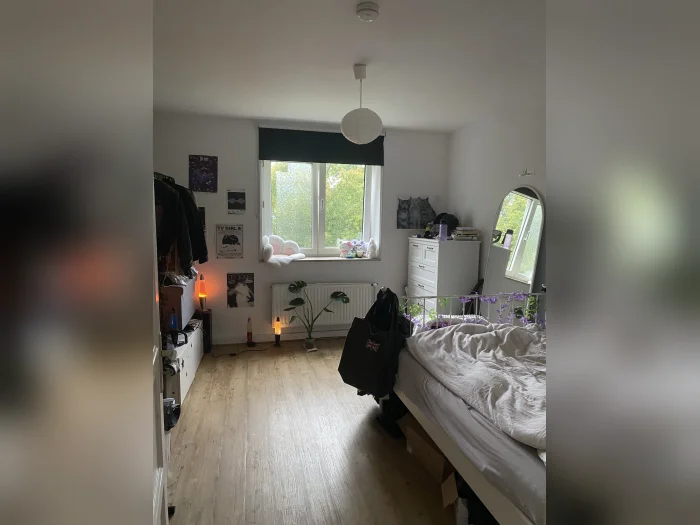 Vorschaubild 1