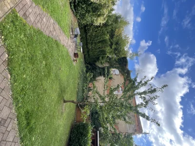 Vorschaubild 3