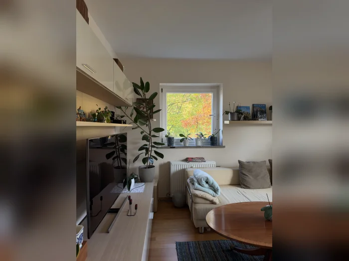 Vorschaubild 2