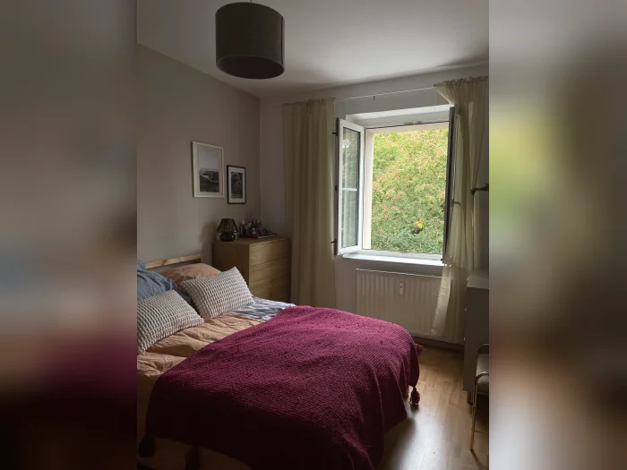 Vorschaubild 3