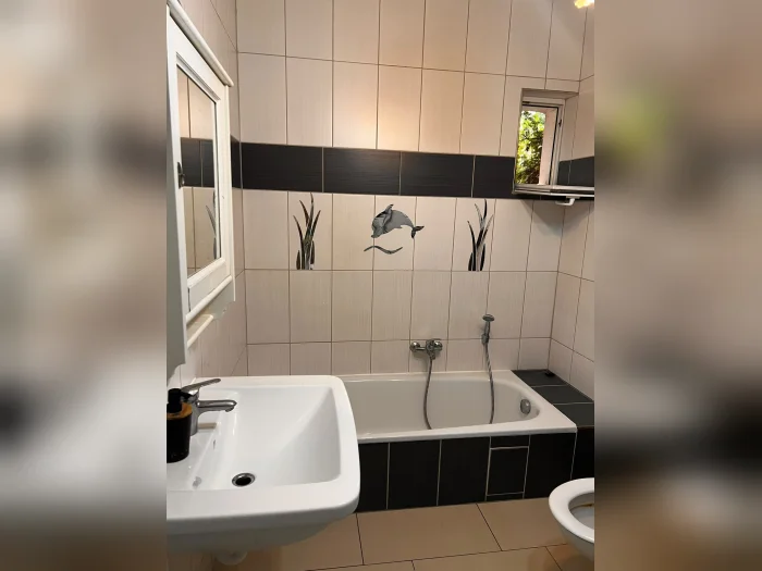 Vorschaubild 1