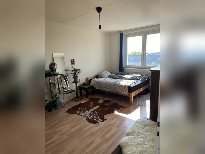 Vorschaubild 2