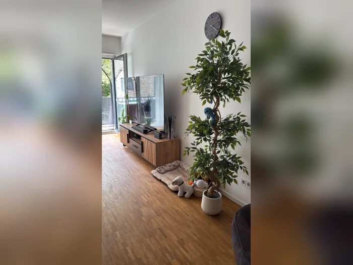 Vorschaubild 2