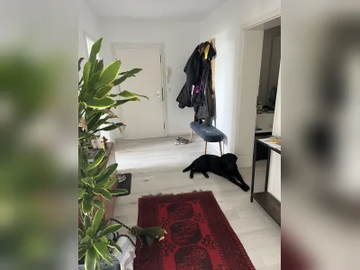 Vorschaubild 1