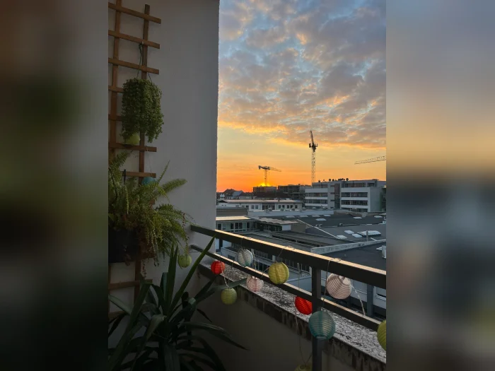 Vorschaubild 3