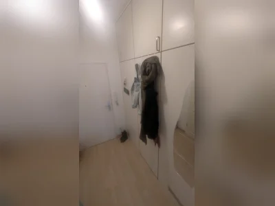 Vorschaubild 2