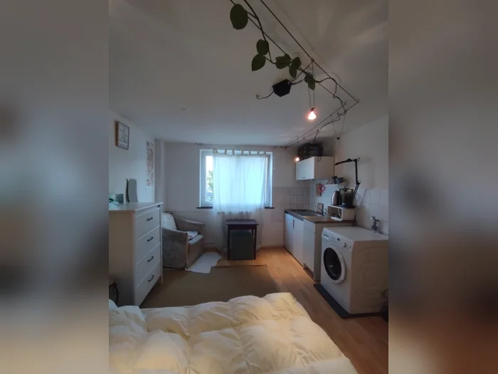 Vorschaubild 1