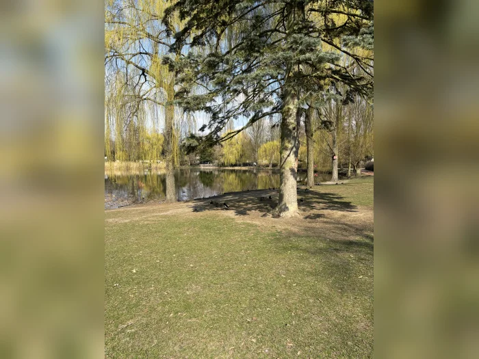 Vorschaubild 3