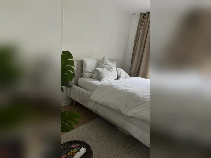 Vorschaubild 2