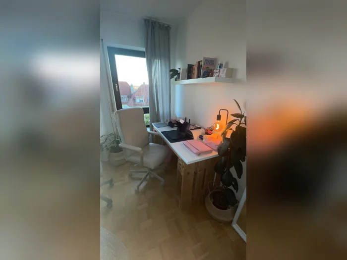 Vorschaubild 2