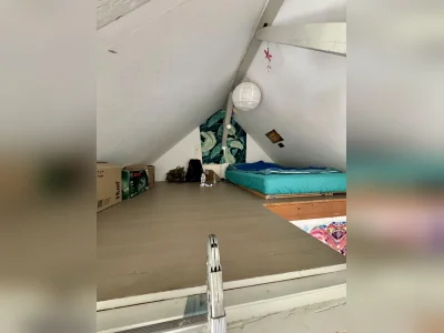 Vorschaubild 3