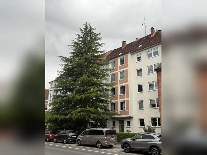Vorschaubild 3