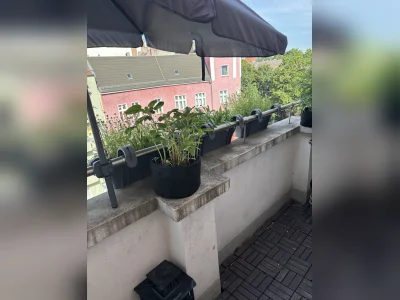 Vorschaubild 2