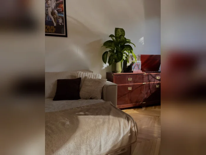 Vorschaubild 1