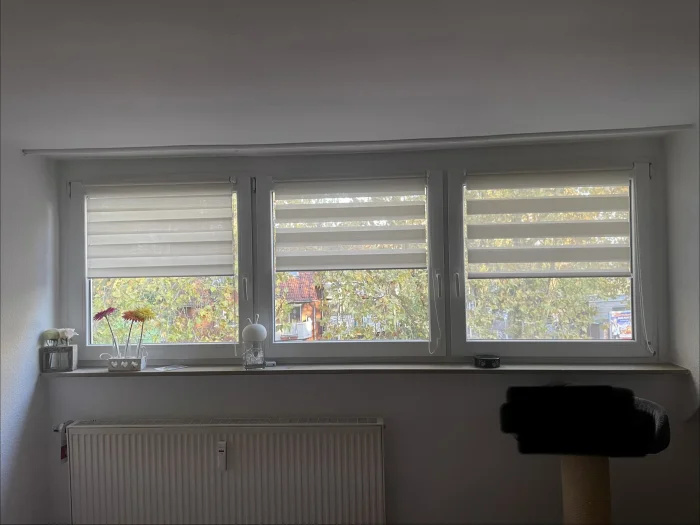 Vorschaubild 2