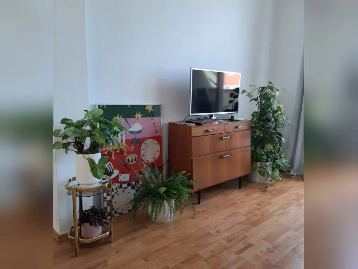 Vorschaubild 3
