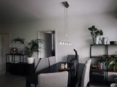 Moderne 3.5-Zimmerwohnung in Zollikerberg