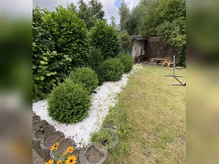 Vorschaubild 3