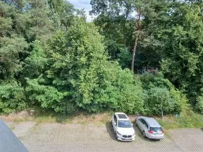 Suche eine 2-3 Zim.Whg mit Terrasse