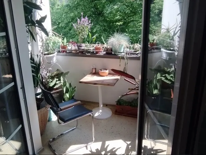 Vorschaubild 2
