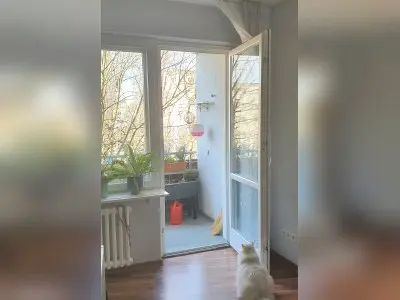 2,5 Zimmer Wohnung gegen mind. 4 Zimmer