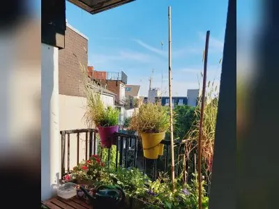 Suchen eine Tauschwohnung im Grünen
