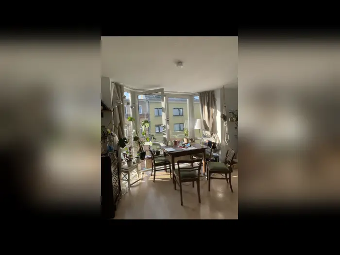 Vorschaubild 1