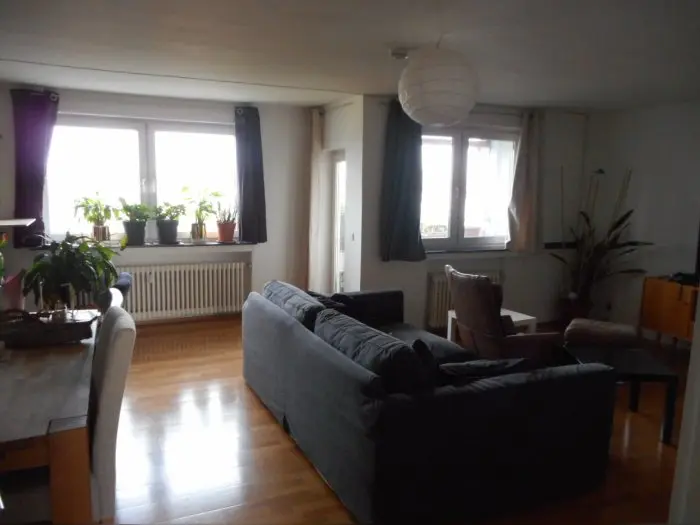 Vorschaubild 3
