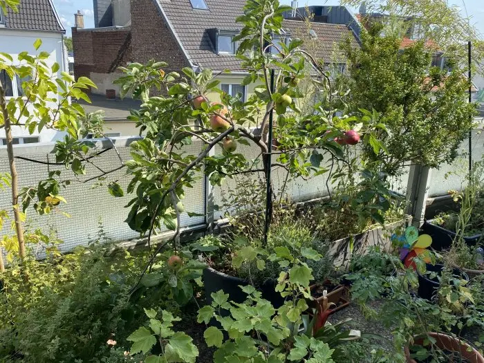 Vorschaubild 1
