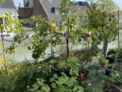 3-Zi-Whg (Balkon) ggn mind. 3,5 Zimmer mit Grün