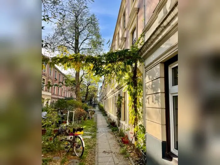Vorschaubild 1
