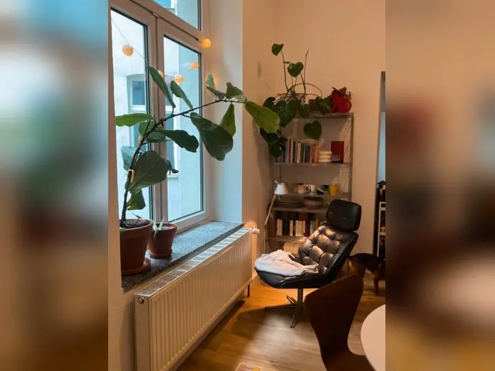 Vorschaubild 1