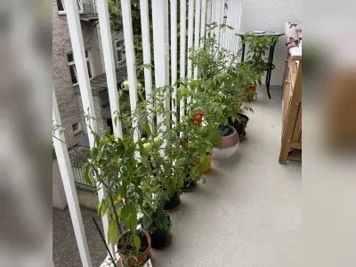 Wohnung in der Langerstraße abzugeben