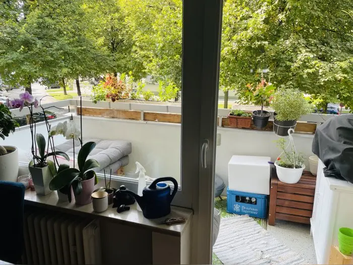 Vorschaubild 3